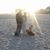 Amanda Leigan's profile image