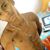 Jonathan Daniel's profile image