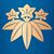 Shihan J Cruz's profile image