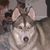 Carol Hyde's profile image