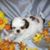 Jill Mitcehll's profile image
