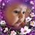 Nola Doty Robertson's profile image