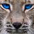 CoachLouie Matsakis's profile image