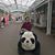 Bach Diep Lam's profile image