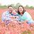 Rosemary Vandertulip's profile image