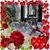 Mindy Sachs Hinton's profile image