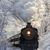 Judith Hoar's profile image