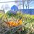 Joan Fern's profile image