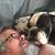 Mike L Hedrick's profile image