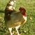Mary Novak's profile image