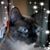 Darcy Lennon Searle's profile image