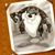 Samantha Cooper's profile image