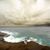 Linsey Lee Brisco's profile image