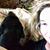 Faye Hoffpauer's profile image