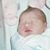 Michele Vieira Schmidt's profile image