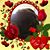 Brenda Swierczewski Keehn's profile image