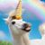 Tiffany Sowa's profile image