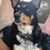 Kimm Corser's profile image
