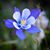 Cynthia Johnson Peterson's profile image