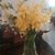 Julie Maillet Ilhardt's profile image