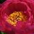 Norma Wright's profile image