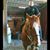 Jaime Arreola's profile image
