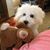 Snickers Too's profile image