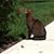 Brian Fuerst's profile image