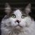 Edmond Rivera's profile image