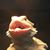 Patrick Schmidt's profile image