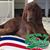 Mary Stoner Dixon's profile image