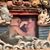 Debbie DiMeola's profile image