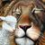 Suzan Mills's profile image