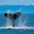 Margaret Paceley's profile image
