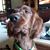 Libby McAfee Machado's profile image