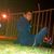 Mazlum Yaşin's profile image