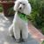 Elizabeth Murray's profile image