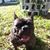 Amber Plourde's profile image