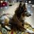 Marsha Russell's profile image