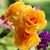 Kathy Snell's profile image