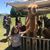 Carole Bourbeau Bostic's profile image