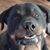 Trisha Doran's profile image