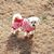 Leigh Ann Jones's profile image