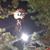 Robert Murray's profile image