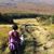 Esther Mandelheim Elliott's profile image