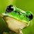Vonnie Hocker's profile image