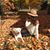 Michelle Smith-Berentz's profile image