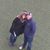 Lisa Pastore Boland's profile image