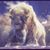 Margot Donovan's profile image