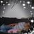 Crystal Lee's profile image